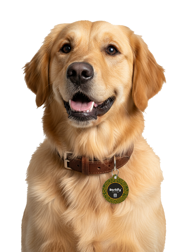 Perro con Barkify tag